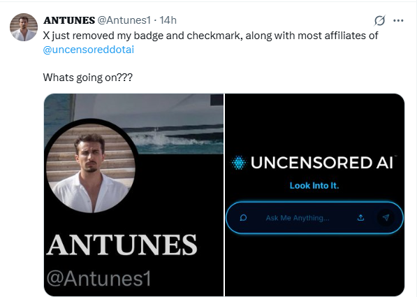 x censorship accounts